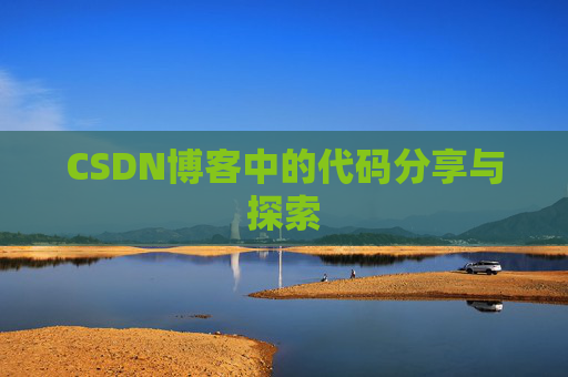 CSDN博客中的代码分享与探索